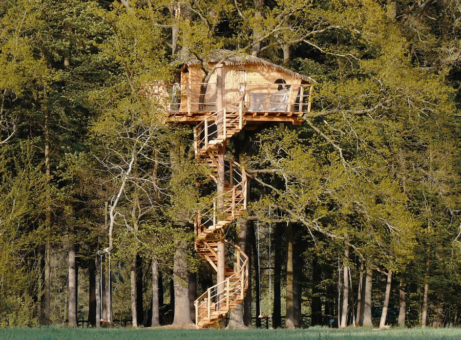 Ubytování v Tree House